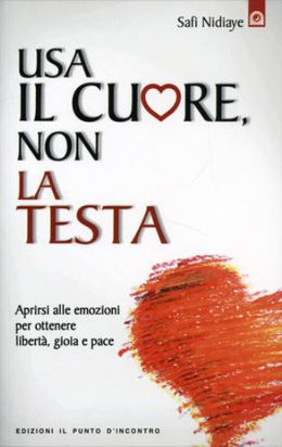 safi Nidiaye Publikationen